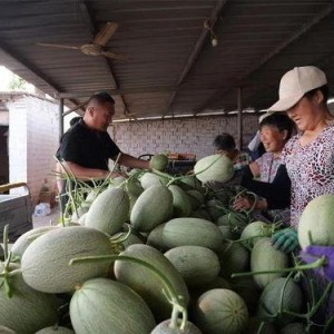 718sx吃瓜娱乐去哪里了,探寻消失的瓜圈传奇